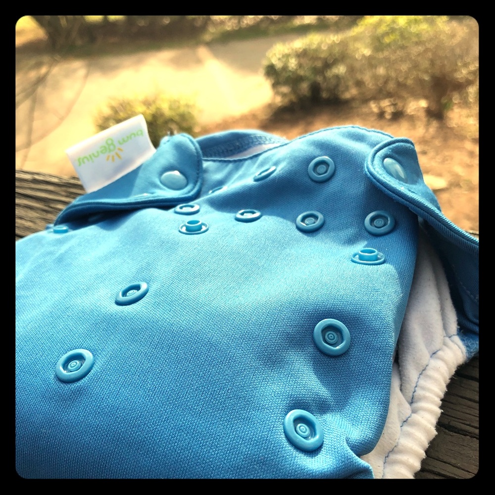 BumGenius 5.0 All In One Cloth Diaper